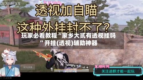 玩家必看教程“家乡大贰有透视挂吗”开挂(透视)辅助神器-第2张图片