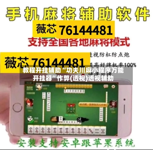 教程开挂辅助“功夫川麻小程序万能开挂器”作弊(透视)透视辅助-第3张图片