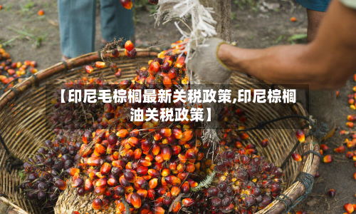 【印尼毛棕榈最新关税政策,印尼棕榈油关税政策】