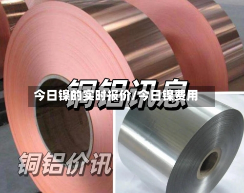 今日镍的实时报价/今日镍费用-第2张图片