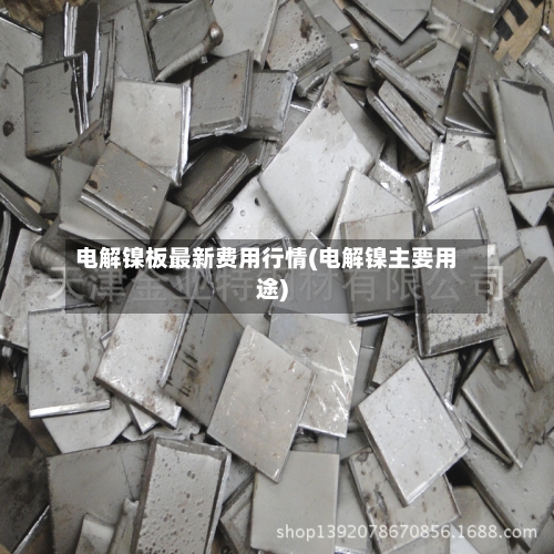 电解镍板最新费用行情(电解镍主要用途)-第2张图片