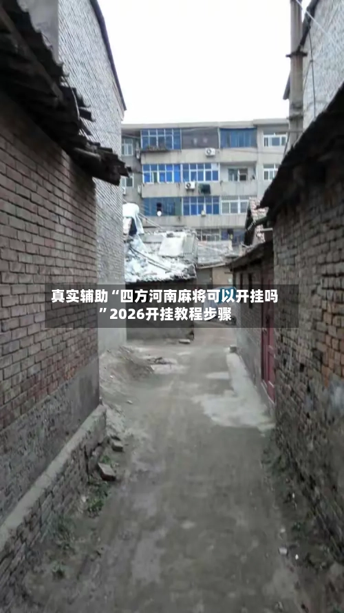 真实辅助“四方河南麻将可以开挂吗	”2026开挂教程步骤-第2张图片