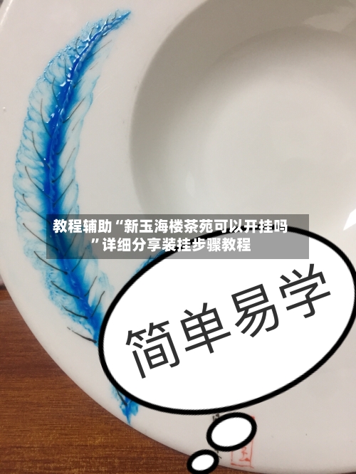 教程辅助“新玉海楼茶苑可以开挂吗”详细分享装挂步骤教程-第3张图片