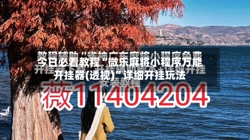 今日必看教程“微乐麻将小程序万能开挂器(透视)”详细开挂玩法-第2张图片