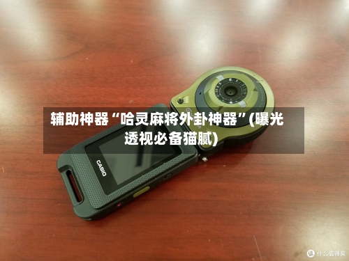 辅助神器“哈灵麻将外卦神器	”(曝光透视必备猫腻)-第2张图片