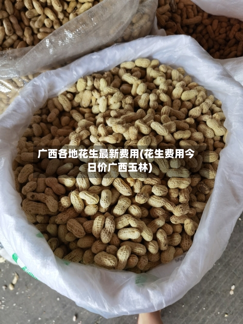 广西各地花生最新费用(花生费用今日价广西玉林)