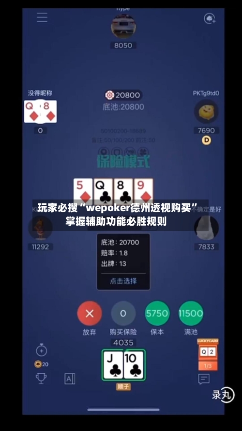 玩家必搜“wepoker德州透视购买	”掌握辅助功能必胜规则-第3张图片