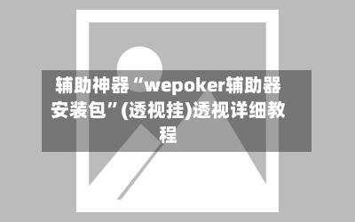 辅助神器“wepoker辅助器安装包”(透视挂)透视详细教程-第2张图片