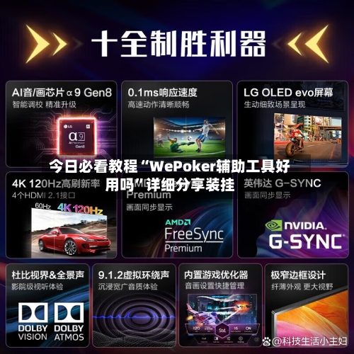 今日必看教程“WePoker辅助工具好用吗”详细分享装挂-第2张图片