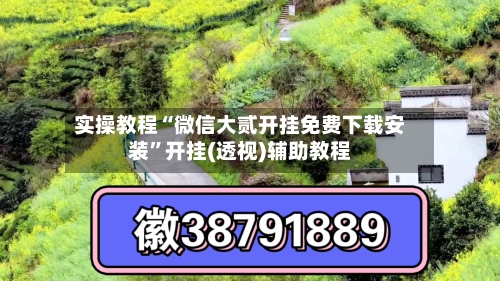 实操教程“微信大贰开挂免费下载安装”开挂(透视)辅助教程-第3张图片