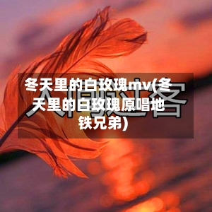 冬天里的白玫瑰mv(冬天里的白玫瑰原唱地铁兄弟)-第3张图片
