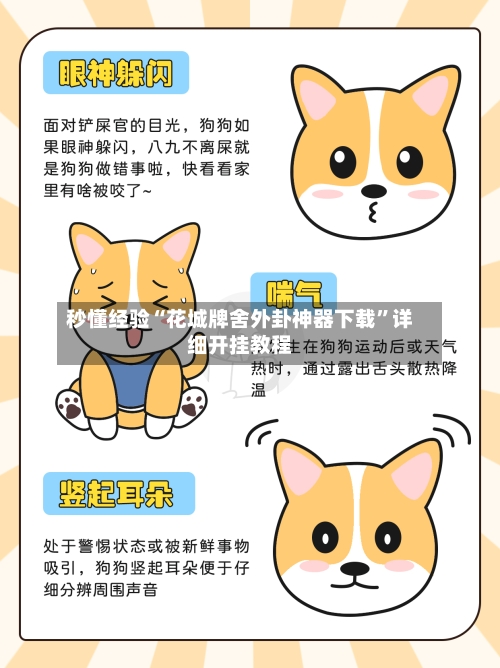 秒懂经验“花城牌舍外卦神器下载”详细开挂教程