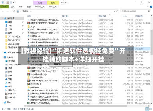 [教程经验]“闲逸软件透视挂免费”开挂辅助脚本+详细开挂-第2张图片