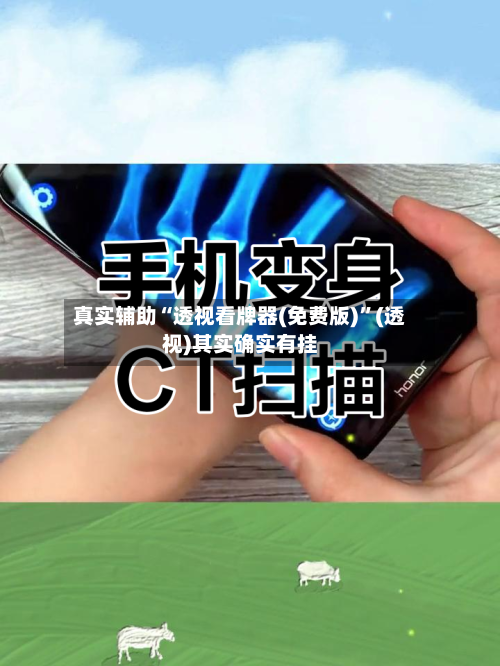 真实辅助“透视看牌器(免费版)”(透视)其实确实有挂-第2张图片