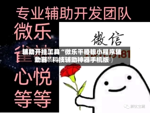 辅助开挂工具“微乐干瞪眼小程序辅助器	”科技辅助神器手机版-第3张图片