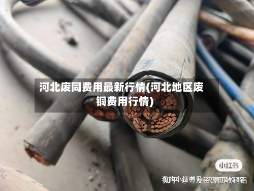 河北废同费用最新行情(河北地区废铜费用行情)