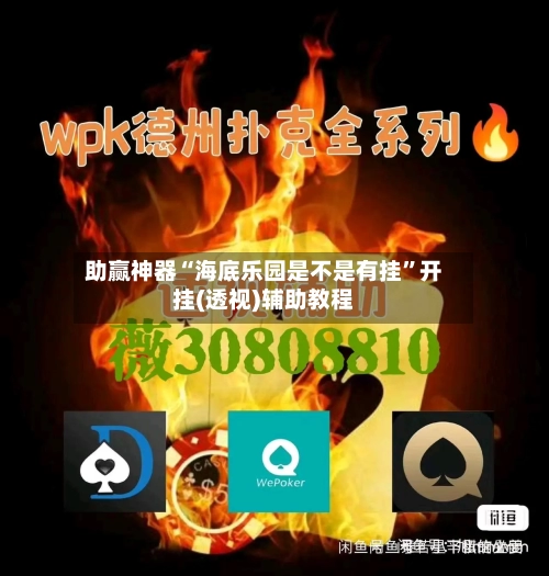 助赢神器“海底乐园是不是有挂”开挂(透视)辅助教程-第3张图片