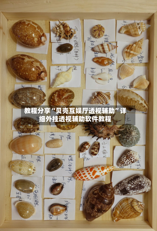 教程分享“贝壳互娱厅透视辅助	”详细外挂透视辅助软件教程-第2张图片