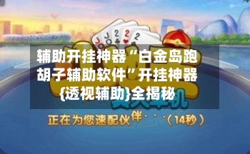 辅助开挂神器“白金岛跑胡子辅助软件”开挂神器{透视辅助}全揭秘-第2张图片