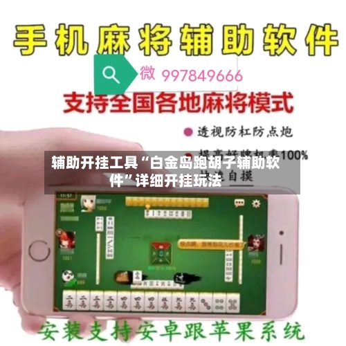 辅助开挂工具“白金岛跑胡子辅助软件	”详细开挂玩法-第2张图片