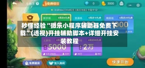秒懂经验“微乐小程序辅助器免费下载”(透视)开挂辅助脚本+详细开挂安装教程-第2张图片