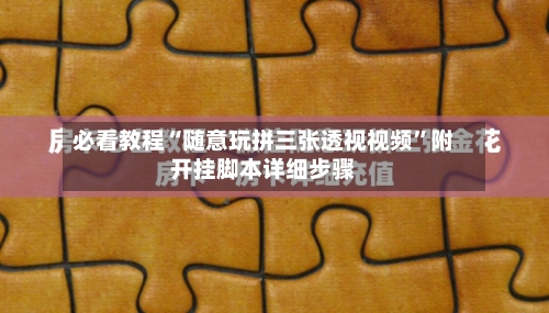 必看教程“随意玩拼三张透视视频”附开挂脚本详细步骤-第2张图片