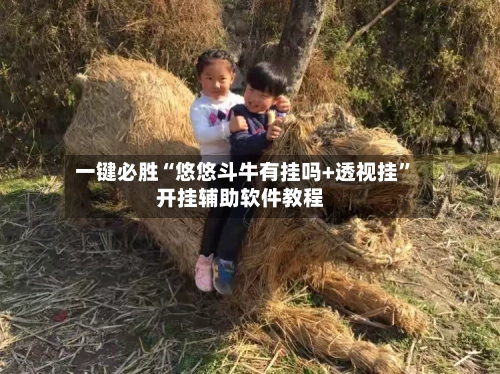 一键必胜“悠悠斗牛有挂吗+透视挂”开挂辅助软件教程-第3张图片