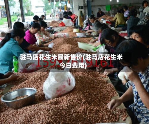 驻马店花生米最新售价(驻马店花生米今日费用)
