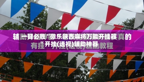 一键必胜“微乐陕西麻将万能开挂器”开挂(透视)辅助神器-第3张图片