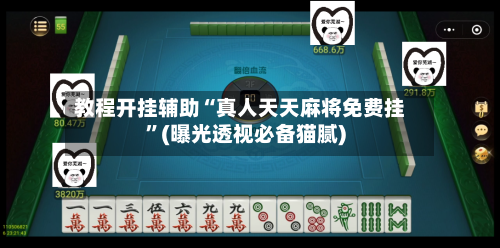 教程开挂辅助“真人天天麻将免费挂”(曝光透视必备猫腻)-第2张图片