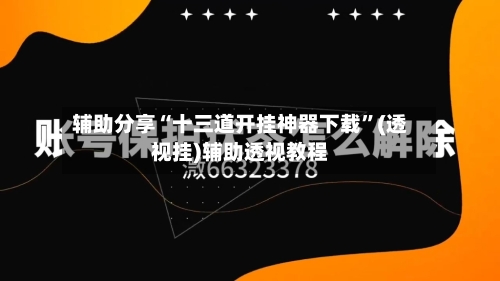 辅助分享“十三道开挂神器下载”(透视挂)辅助透视教程-第2张图片