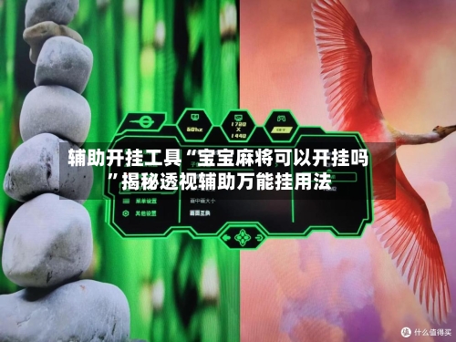 辅助开挂工具“宝宝麻将可以开挂吗	”揭秘透视辅助万能挂用法-第3张图片