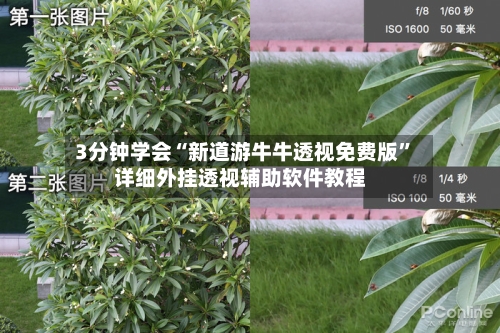 3分钟学会“新道游牛牛透视免费版	”详细外挂透视辅助软件教程-第2张图片