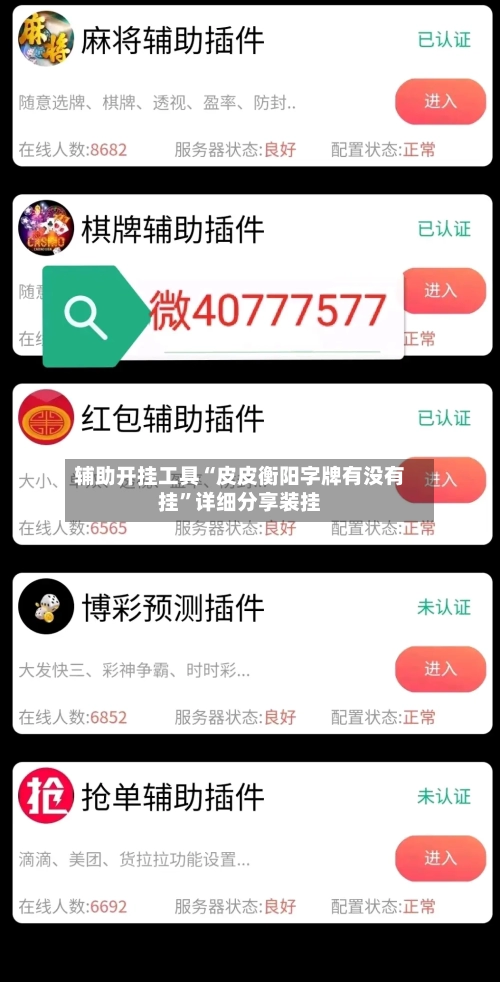 辅助开挂工具“皮皮衡阳字牌有没有挂	”详细分享装挂-第2张图片