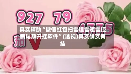 真实辅助“微信红包扫雷埋雷避雷控制尾数开挂软件	”(透视)其实确实有挂-第2张图片