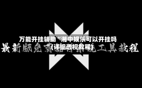 万能开挂辅助“湘中娱乐可以开挂吗	”(详细透视教程)-第2张图片