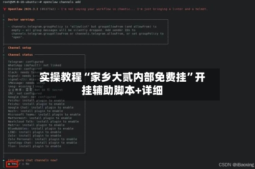 实操教程“家乡大贰内部免费挂”开挂辅助脚本+详细-第3张图片
