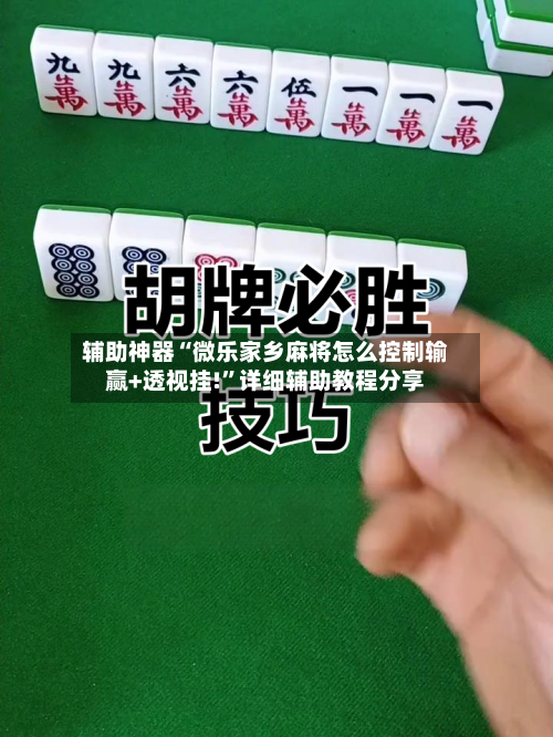 辅助神器“微乐家乡麻将怎么控制输赢+透视挂!”详细辅助教程分享-第3张图片