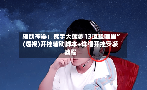 辅助神器：佛手大菠萝13道挂哪里”(透视)开挂辅助脚本+详细开挂安装教程-第2张图片