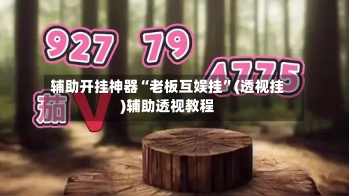 辅助开挂神器“老板互娱挂	”(透视挂)辅助透视教程-第2张图片