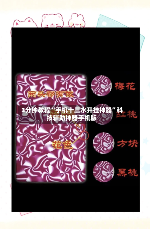 3分钟教程“手机十三水开挂神器	”科技辅助神器手机版-第2张图片