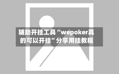 辅助开挂工具“wepoker真的可以开挂”分享用挂教程-第3张图片