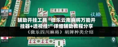 辅助开挂工具“微乐云南麻将万能开挂器+透视挂!”详细辅助教程分享-第2张图片