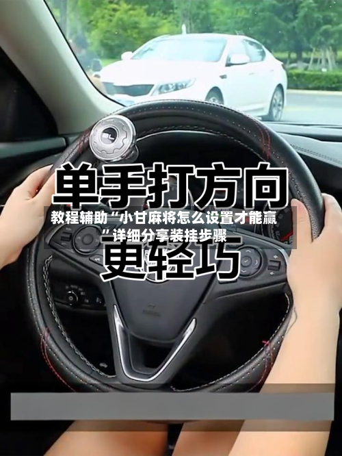 教程辅助“小甘麻将怎么设置才能赢”详细分享装挂步骤-第3张图片