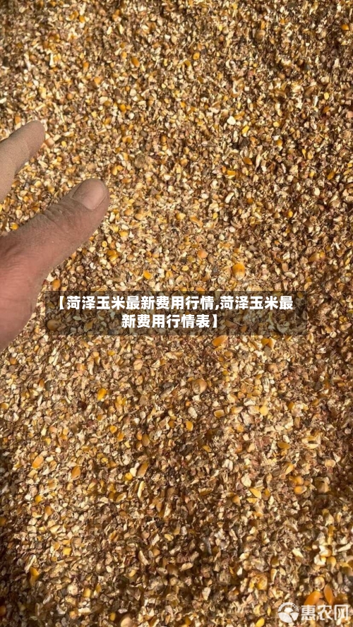 【菏泽玉米最新费用行情,菏泽玉米最新费用行情表】-第2张图片