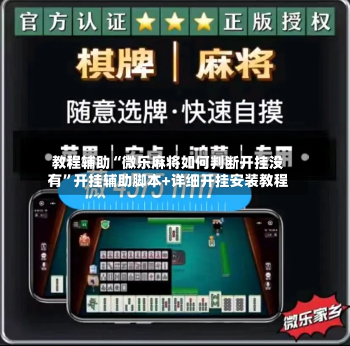 教程辅助“微乐麻将如何判断开挂没有”开挂辅助脚本+详细开挂安装教程-第3张图片