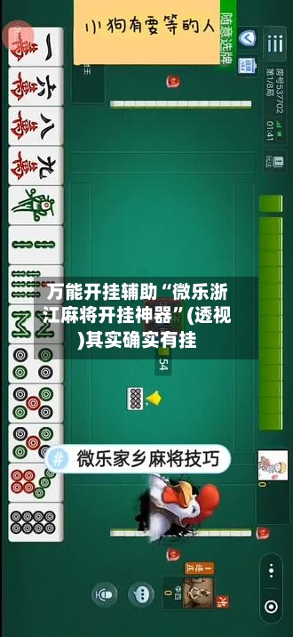 万能开挂辅助“微乐浙江麻将开挂神器	”(透视)其实确实有挂-第3张图片