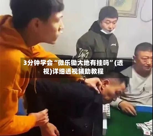 3分钟学会“微乐锄大地有挂吗”(透视)详细透视辅助教程-第2张图片