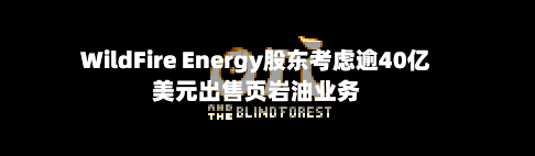 WildFire Energy股东考虑逾40亿美元出售页岩油业务-第2张图片