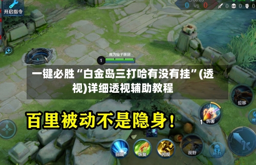一键必胜“白金岛三打哈有没有挂”(透视)详细透视辅助教程-第3张图片